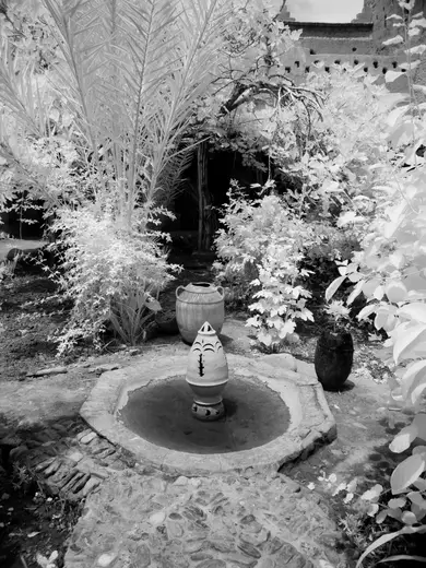 DSCN6130.jpg