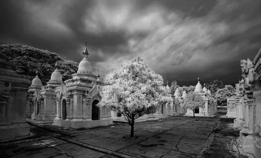 The Giving Tree