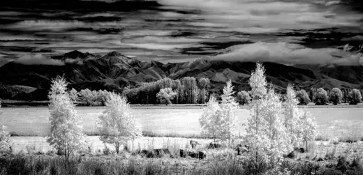 NZ IR -0839-Edit.jpg
