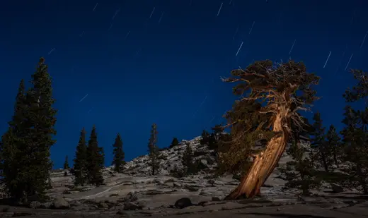 CA - Yosemite-177.jpg