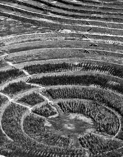 Peru Crop Circles Vertical 003.jpg