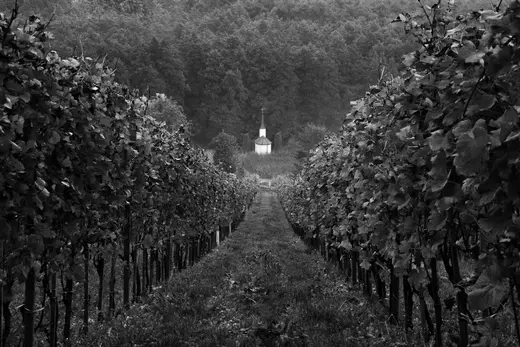 SmugMug Slovenia-2.jpg